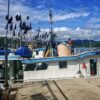 Se entregó y está en operación una moderna máquina Industrial de fabricación de hielo para la Terminal Pesquera de Cuajiniquil